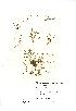  ( - NMW497)  @11 [ ] Unspecified (default): All Rights Reserved  Unspecified Unspecified