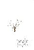  (Littorella - NMW510)  @11 [ ] Unspecified (default): All Rights Reserved  Unspecified Unspecified