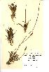  ( - NMW511)  @11 [ ] Unspecified (default): All Rights Reserved  Unspecified Unspecified