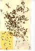  ( - NMW514)  @11 [ ] Unspecified (default): All Rights Reserved  Unspecified Unspecified