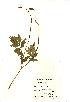  ( - NMW531)  @11 [ ] Unspecified (default): All Rights Reserved  Unspecified Unspecified