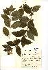  ( - NMW540)  @11 [ ] Unspecified (default): All Rights Reserved  Unspecified Unspecified