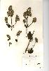  ( - NMW572)  @11 [ ] Unspecified (default): All Rights Reserved  Unspecified Unspecified