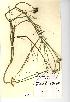  ( - NMW577)  @11 [ ] Unspecified (default): All Rights Reserved  Unspecified Unspecified