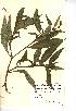  ( - NMW616)  @11 [ ] Unspecified (default): All Rights Reserved  Unspecified Unspecified