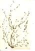  ( - NMW621)  @11 [ ] Unspecified (default): All Rights Reserved  Unspecified Unspecified