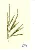  ( - NMW656)  @11 [ ] Unspecified (default): All Rights Reserved  Unspecified Unspecified