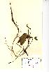  ( - NMW663)  @11 [ ] Unspecified (default): All Rights Reserved  Unspecified Unspecified