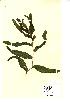 ( - NMW667)  @11 [ ] Unspecified (default): All Rights Reserved  Unspecified Unspecified