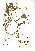  ( - NMW698)  @11 [ ] Unspecified (default): All Rights Reserved  Unspecified Unspecified