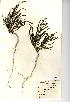  ( - NMW747)  @11 [ ] Unspecified (default): All Rights Reserved  Unspecified Unspecified