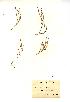  ( - NMW768)  @11 [ ] Unspecified (default): All Rights Reserved  Unspecified Unspecified