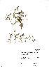  ( - NMW788)  @11 [ ] Unspecified (default): All Rights Reserved  Unspecified Unspecified