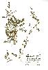  ( - NMW811)  @11 [ ] Unspecified (default): All Rights Reserved  Unspecified Unspecified
