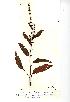  ( - NMW870)  @11 [ ] Unspecified (default): All Rights Reserved  Unspecified Unspecified