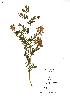  ( - NMW897)  @11 [ ] Unspecified (default): All Rights Reserved  Unspecified Unspecified