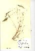  ( - NMW907)  @11 [ ] Unspecified (default): All Rights Reserved  Unspecified Unspecified