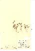 ( - NMW914)  @11 [ ] Unspecified (default): All Rights Reserved  Unspecified Unspecified