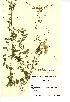  ( - NMW917)  @11 [ ] Unspecified (default): All Rights Reserved  Unspecified Unspecified