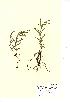  ( - NMW932)  @11 [ ] Unspecified (default): All Rights Reserved  Unspecified Unspecified