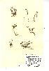  ( - NMW964)  @11 [ ] Unspecified (default): All Rights Reserved  Unspecified Unspecified