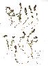  ( - NMW977)  @11 [ ] Unspecified (default): All Rights Reserved  Unspecified Unspecified