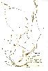  ( - NMW992)  @11 [ ] Unspecified (default): All Rights Reserved  Unspecified Unspecified