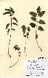  ( - NMW5016)  @11 [ ] Unspecified (default): All Rights Reserved  Unspecified Unspecified
