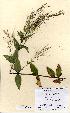  ( - NMW5025)  @11 [ ] Unspecified (default): All Rights Reserved  Unspecified Unspecified