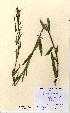  ( - NMW5031)  @11 [ ] Unspecified (default): All Rights Reserved  Unspecified Unspecified