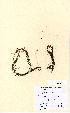  ( - NMW5059)  @11 [ ] Unspecified (default): All Rights Reserved  Unspecified Unspecified