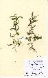  ( - NMW5109)  @11 [ ] Unspecified (default): All Rights Reserved  Unspecified Unspecified
