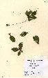  ( - NMW5213)  @11 [ ] Unspecified (default): All Rights Reserved  Unspecified Unspecified