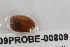  ( - PPM013)  @13 [ ] Unspecified (default): All Rights Reserved  Unspecified Unspecified