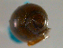  ( - PPM063)  @13 [ ] Unspecified (default): All Rights Reserved  Unspecified Unspecified