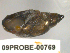  ( - PPM092)  @13 [ ] Unspecified (default): All Rights Reserved  Unspecified Unspecified