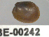  ( - PPM159)  @13 [ ] Unspecified (default): All Rights Reserved  Unspecified Unspecified