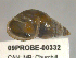  ( - PPM206)  @14 [ ] Unspecified (default): All Rights Reserved  Unspecified Unspecified