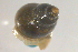  ( - PPM206)  @14 [ ] Unspecified (default): All Rights Reserved  Unspecified Unspecified