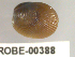  ( - PPM263)  @13 [ ] Unspecified (default): All Rights Reserved  Unspecified Unspecified