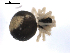  ( - BIOUG00615-H07)  @12 [ ] CC-0  G. Blagoev 2010 Unspecified