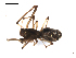  ( - BIOUG00615-H11)  @12 [ ] CC-0  G. Blagoev 2010 Unspecified