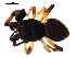  ( - BIOUG00616-B08)  @12 [ ] CC-0  G. Blagoev 2010 Unspecified