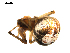  ( - BIOUG00616-C06)  @12 [ ] CC-0  G. Blagoev 2010 Unspecified