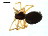  ( - BIOUG00616-C12)  @12 [ ] CC-0  G. Blagoev 2010 Unspecified