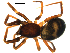  ( - BIOUG00616-F09)  @12 [ ] CC-0  G. Blagoev 2010 Unspecified