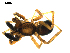  ( - BIOUG00616-G03)  @12 [ ] CC-0  G. Blagoev 2010 Unspecified