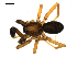  ( - BIOUG00616-G10)  @12 [ ] CC-0  G. Blagoev 2010 Unspecified