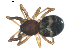  ( - BIOUG00617-B05)  @12 [ ] CC-0  G. Blagoev 2010 Unspecified
