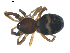  ( - BIOUG00617-B06)  @13 [ ] CC-0  G. Blagoev 2010 Unspecified